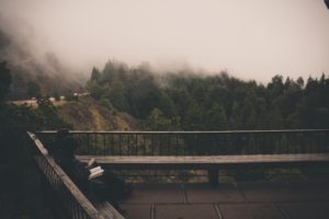 bench-nature-relaxing-sitting